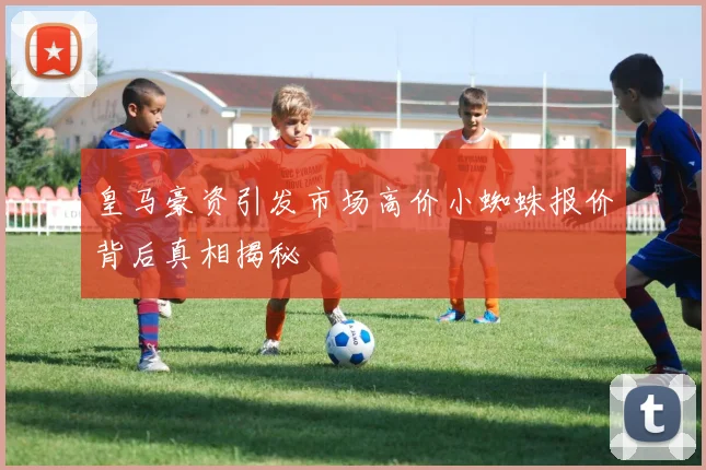 皇马豪资引发市场高价小蜘蛛报价背后真相揭秘